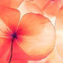 Sherry Logan - @Ssherrymlogan - Twitter