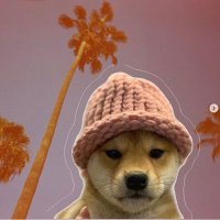 K e e L o (@keelooooooo) 's Twitter Profile