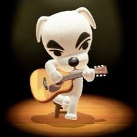 2001% (@liambubblenme) 's Twitter Profile