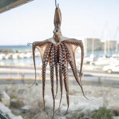 iliaskaraf's profile picture. Λοιπόν δεν ξέρω αν το προσέξατε, αλλά σήμερα είμαστε μια ωραία ατμόσφαιρα, είμαστε.