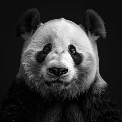 333sandayo's profile picture. 20⬆️の成人済み。夢垢。 ほぼ壁打ち。 n番煎じも平気で呟くぞ気をつけろ。無言フォロー失礼します。現在いる沼 mlsb（🦾、📺）