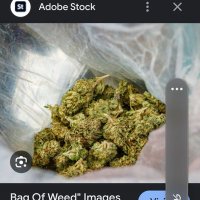 blunt$ &A$$... (@marcusballs1) 's Twitter Profile