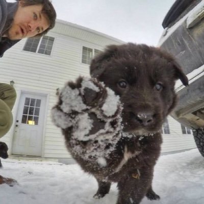 1lying00's profile picture. meowscarada                                                       18 loneliness