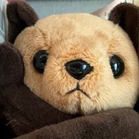 こし (@koshixishi) 's Twitter Profile Photo