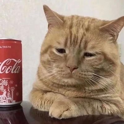 Wuxi334392's profile picture. 尼龙佬，欢迎交流装备