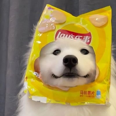 ZJMin's profile picture. 
