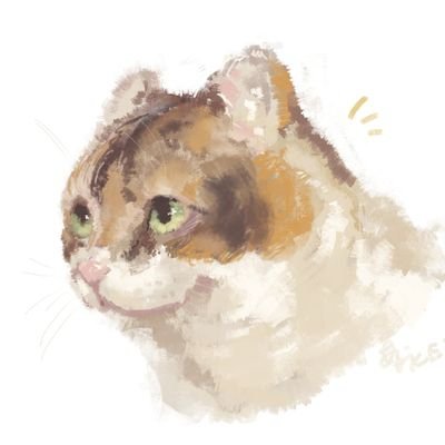 ネコ投稿多めの日常垢です。
三毛のちゃちゃ丸とヤンチャな小太郎😺
レトロゲーム収集してます。
よろしくお願いします。
元スプラ垢