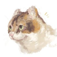 たか (@taka_splt) 's Twitter Profile
