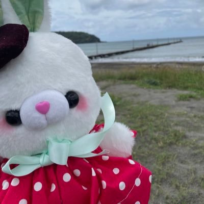 Su_Mo_M007's profile picture. デザイン&服作る人/子供と可愛い物が大好きな廃墟マニア/DDRにお熱中(SP☀️+バー有SPのみ)/人見知り究極体。自ら絡みに行く事は滅多にしません🙏