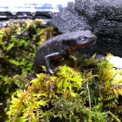 YlQl1kari's profile picture. 