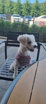 wkdrlcns7141's profile picture. 