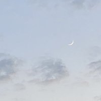 さ (@es_0s7) Twitter profile photo