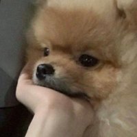 뛰 (@ddwttx) 's Twitter Profile