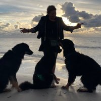 AnnieS🕊️🧌🇩🇰💫🎭 (@anniesbornholm) 's Twitter Profile Photo AnnieS🕊️🧌🇩🇰💫🎭 (@anniesbornholm) 's Twitter Profile Photo