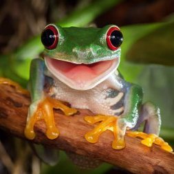 Kawazu_874's profile picture. Cogito ergo sum.
Mais qu'allais-je faire dans cette caverne ? (untranslatable)