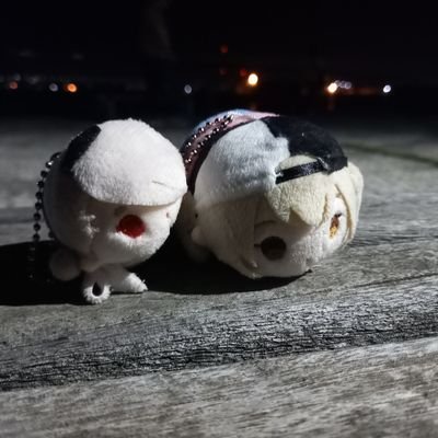 おうみさんのプロフィール画像