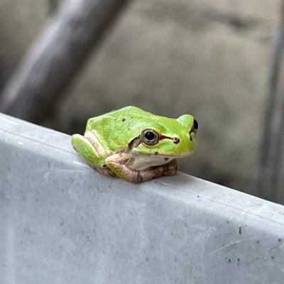 まちさんのプロフィール画像