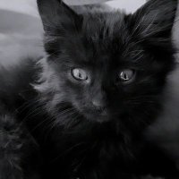 BTC FARzad π (@farzadbvb) 's Twitter Profile