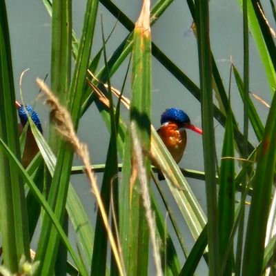 ms_tina18's profile picture. If the world didn't suck we would fall off! :0)