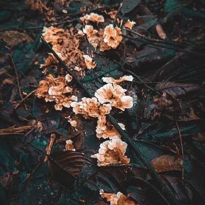 hu_nt__'s profile picture. 