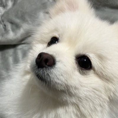 지지さんのプロフィール画像