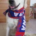 anna Maria Ciani - @anna_ciani - Twitter