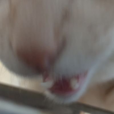 yheTCsl8GA54552's profile picture. 