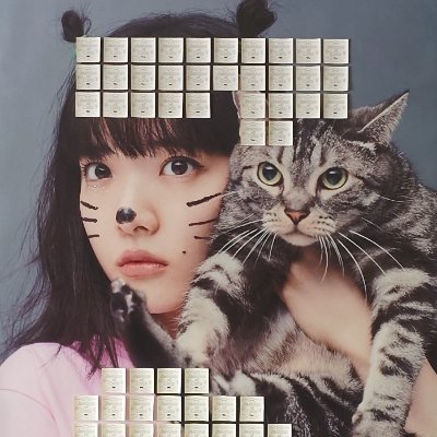aim1993gogo's profile picture. いつも運任せ。
あいみょん　ファイターズ
🦭サチラマジバス京都ドルアパ前半千葉新潟後半神戸増築神戸🏠
🦊＃18＃21＃23＃57＃64
シーズン中はほぼ野球🙏🏻
無言フォロー失礼します🙇🏻‍♀️