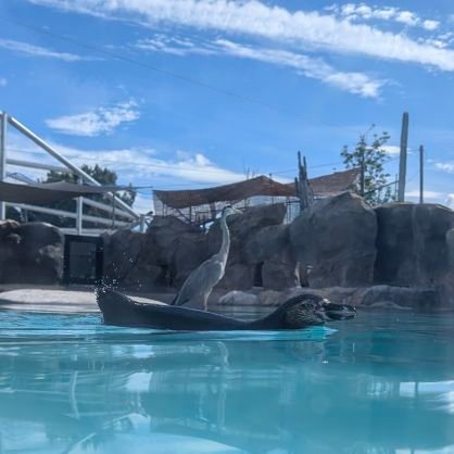 A7TOSYO2's profile picture. 🍆/いろいろ