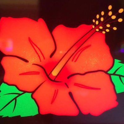 🌺華垢🌺  バケフラ🌈をそろそろ拝みたい  関東でぶん回しを生き甲斐に🌺回してます