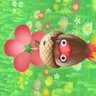ma_ayu_umi's profile picture. 🥔また子育て(あ、孫だw)始まって自分の趣味はまた後で…☆北海道の結構年取ったおば(ぁ)さんですが、仲良くしてください(´ω`) フォローし過ぎてTL追いきれずでゴメンね💦つぶやきっぱなしでゴメンね💧イイネRTはメモがわり、必ずしも賛同ではありません。