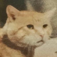 ひでぼー (@rtsrc638) Twitter profile photo