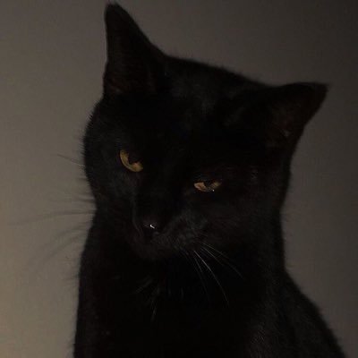 demonconcept's profile picture. bajé al infierno y he vuelto, con los puños más cerrados y los ojos más abiertos∴