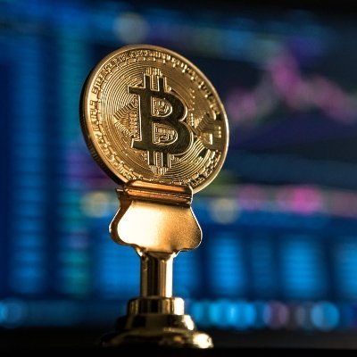 Bitcoin21ever's profile picture. The future