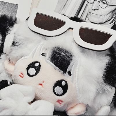 RomyaSom's profile picture. 솜인형을 사랑해요 🩷 시험까지 SLOW/ 성인, 솜사진 아카이브 계정 장르: 뎀죽 화귀 스한부 광마회귀 내스급 등 사진은 (보정 빡) #로먀네 , (막찍은) #로먀네일상 에서!