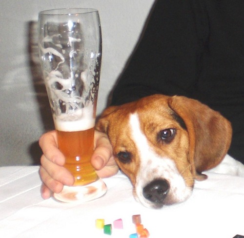 zunzunhi's profile picture. 