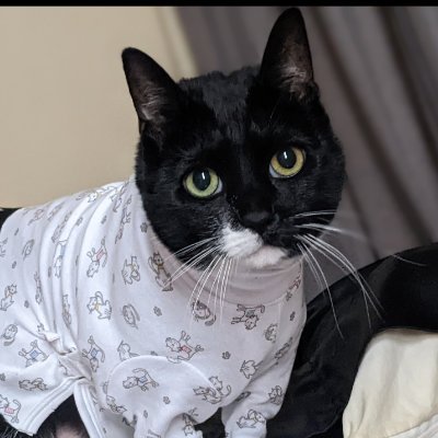 Self-hating academic (immunology), trapped in a cat's body
(She/Her)