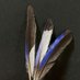 Picking up Feathers (@vedh0ffu7e0fsnr) Twitter profile photo Picking up Feathers (@vedh0ffu7e0fsnr) Twitter profile photo
