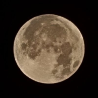 4S5VHYT12's profile picture. 🎶This is the night. It's a beautiful night.
And we call it bella notte.🎶