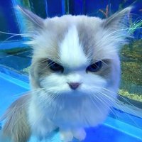Echii🧀. (@chesieec4ke_) 's Twitter Profile