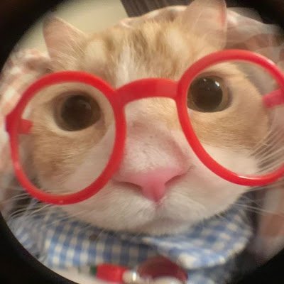 UMonyoudom76615's profile picture. 