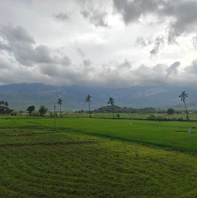 Priyaykanth1000's profile picture. ॐ नमः शिवाय