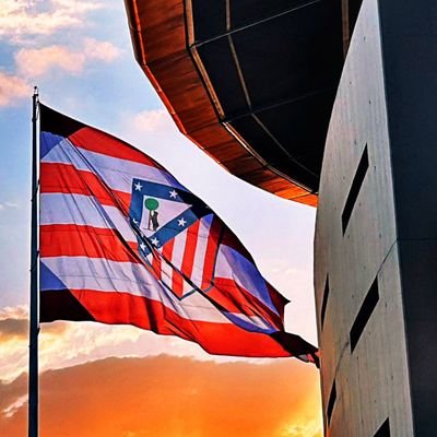 cuencamota's profile picture. Le pones años a mi vida, le quitas vida a mis años. Atlético de Madrid como forma de vida 🏧
Cholismo en vena ❤️
Historiador 📚