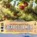 Sagra della Mela di Ussassai (@sagramelauss) Twitter profile photo Sagra della Mela di Ussassai (@sagramelauss) Twitter profile photo