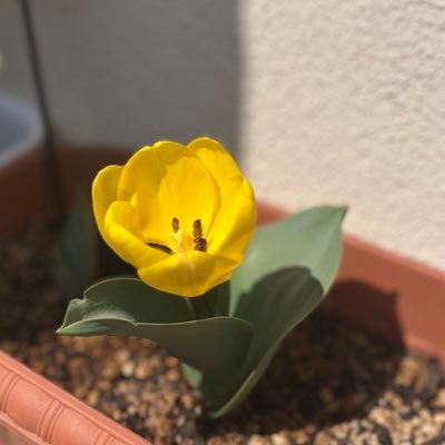 u__mi__u's profile picture. #TaniYuuki