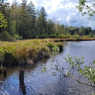 GEDANKENTaenze's profile picture. Badenerin im Allgäu, liebt tanzen, Bücher, Poesie, Natur, schreibe selbst kleine Texte. Vorleserin aus Leidenschaft, mag Menschen, brauche aber auch Stille