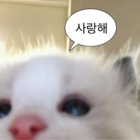 🍰 (@mjvul01) 's Twitter Profile