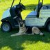 John Samuelson (@gojaysboysgolf) Twitter profile photo John Samuelson (@gojaysboysgolf) Twitter profile photo