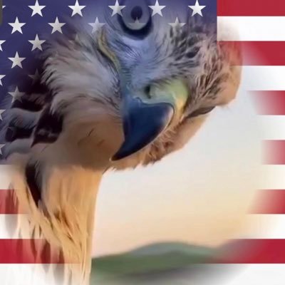 ivofiv's profile picture. Pronouns: thing 1/thing 2…love Star Trek and Star Wars, it stopped with Ent & ROTS sadly.