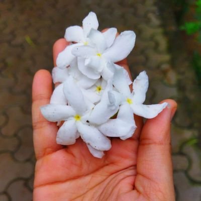 Ritubht's profile picture. कलयुग केवल नाम अधारा 🙏
हरी सुमिरन हरी कीर्तन सारा 🙏♥️ जय सिया राम जय श्री कृष्ण ♥️